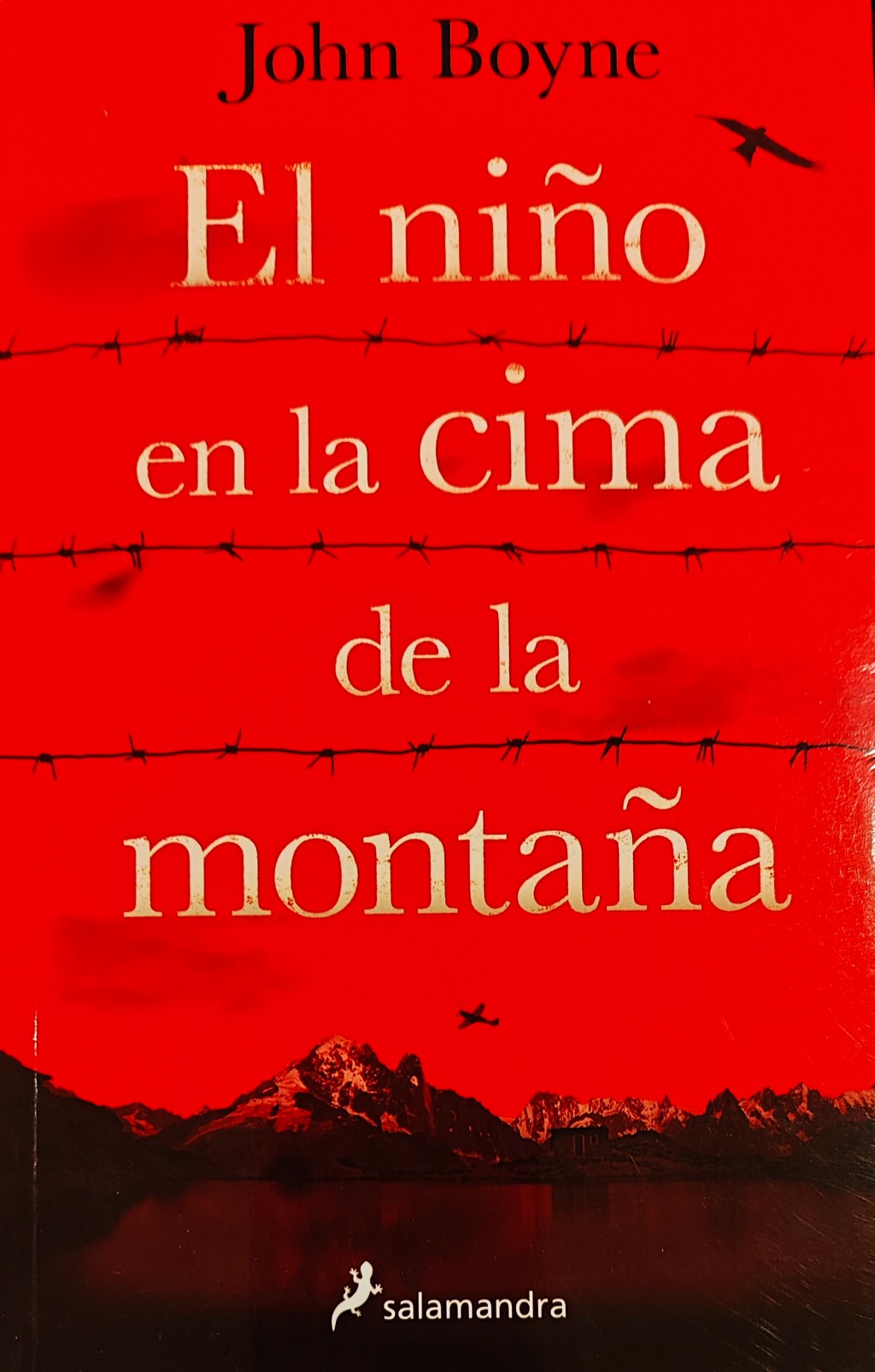 Reseña: El niño en la cima de la&nbsp;montaña